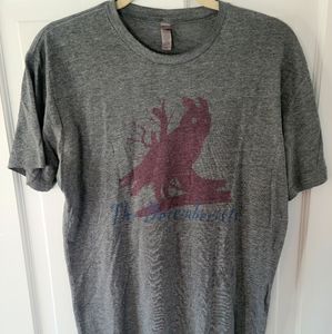 Vintage band t-shirt, The Decemberists tour shirt